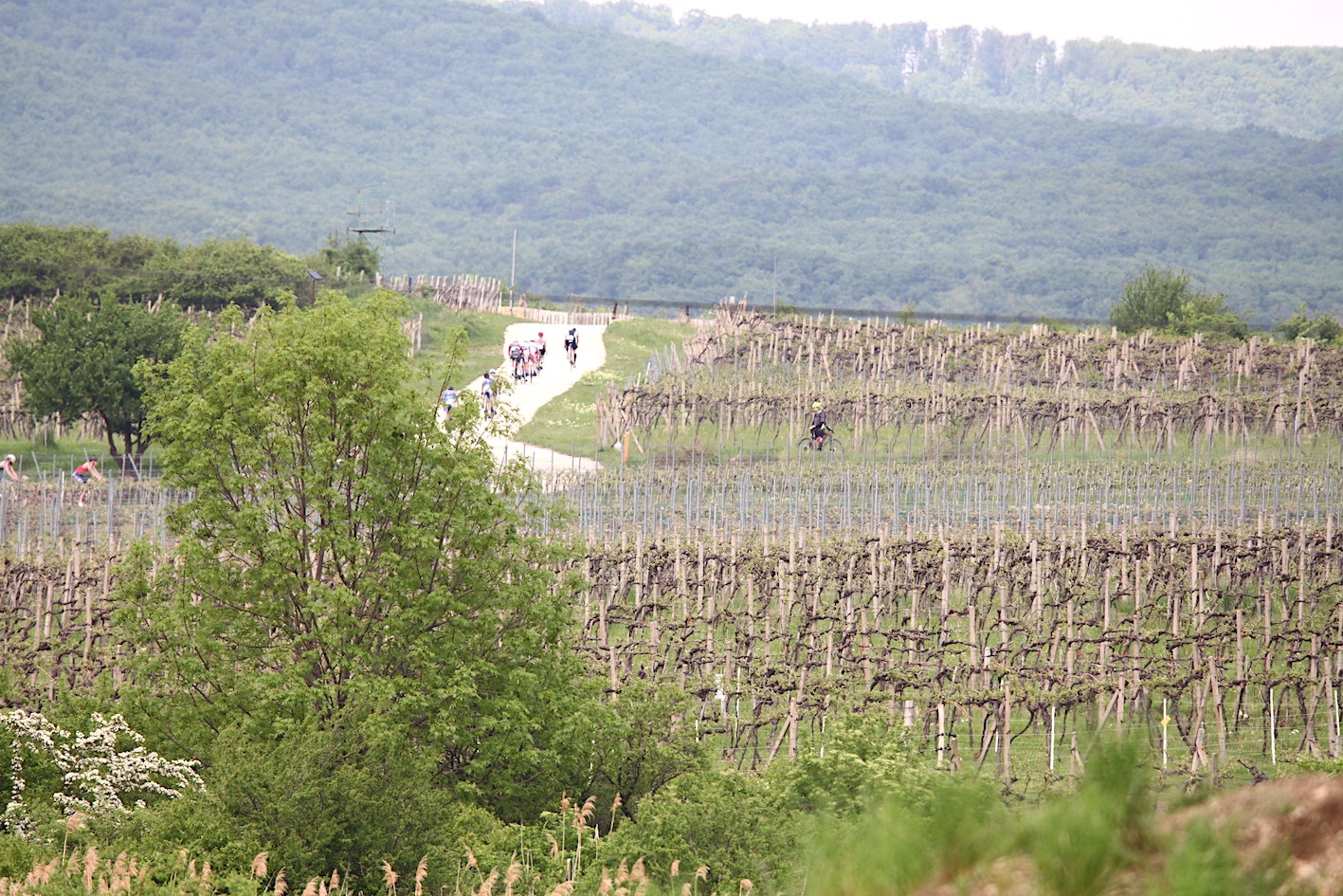 1872-pezinok50-2022-05-08-2022-duapk-1711-kopia.jpg