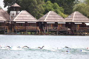2640-plavanie-2024-05-26-senec-2024-1841-kopia.jpg