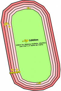 2989-2025dkakva-1000m.png