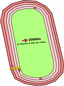 2989-2025dkakva-2000m.png