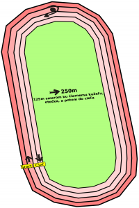2989-2025dkakva-250m.png