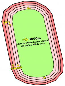 2989-2025dkakva-3000m.png