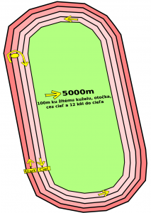 2989-2025dkakva-5000m.png